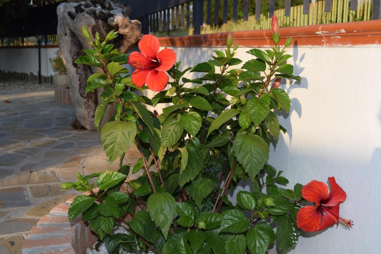 דירות אגרופולי La Casa Di Ely מראה חיצוני תמונה